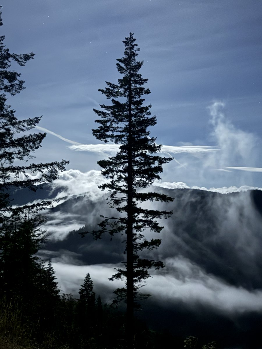 Peek a Boo (More CyberJamboree Photos)