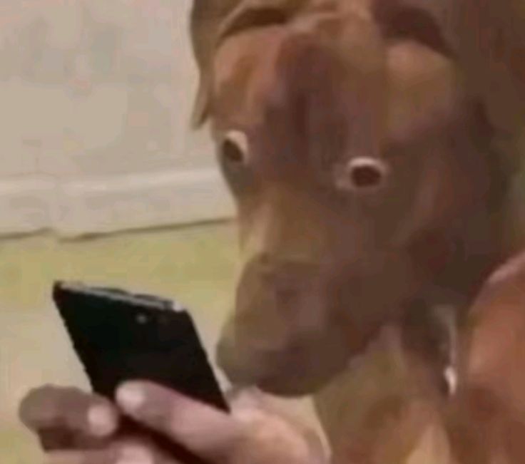 ImHidin2's tweet image. Everybody wants to what???