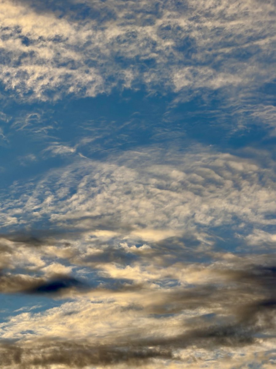 <a href="/Grampa1950/">Grampa</a>