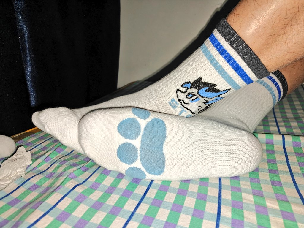 来看小猫的新袜子