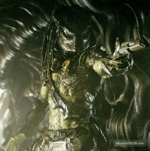PowerTeaa's tweet photo. we need to discuss the wasted potential of Wolf. Such a great design on a shitty ass movie where you can't even see him https://t.co/B5WfKWUQty