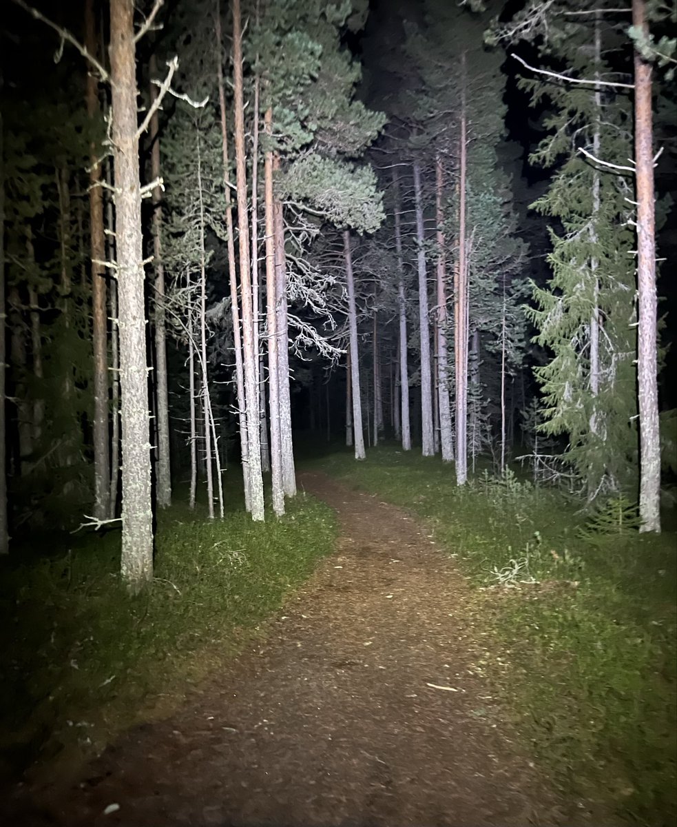 Käyn paljon metsissä koirien kanssa lenkillä ja nyt aloin miettimään, että pitäisi ehkä ottaa varalta toinenkin lamppu mukaan. Jos otsalamppu sammuu, ei kyllä tuolta löydä pois.