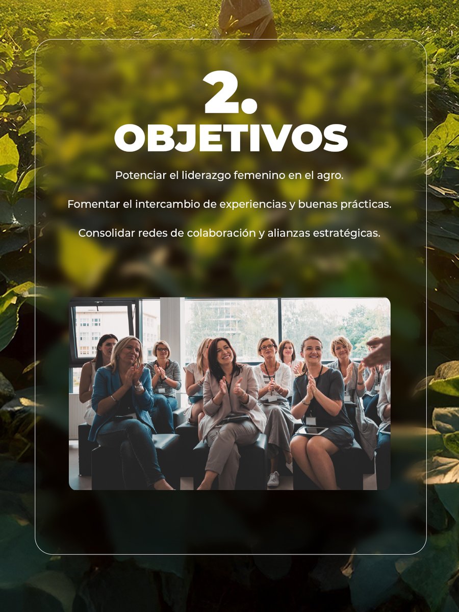 Codesser Chile tweet media