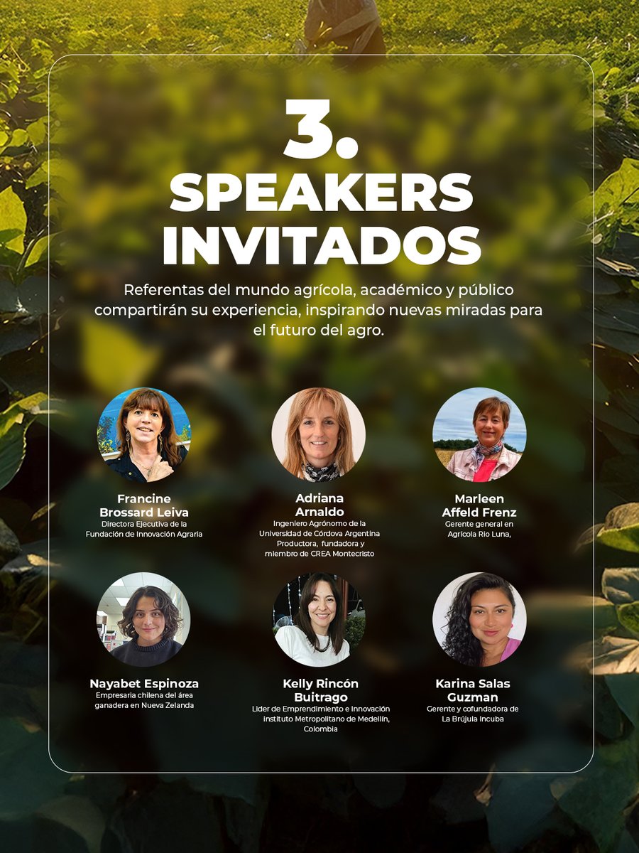 Codesser Chile tweet media