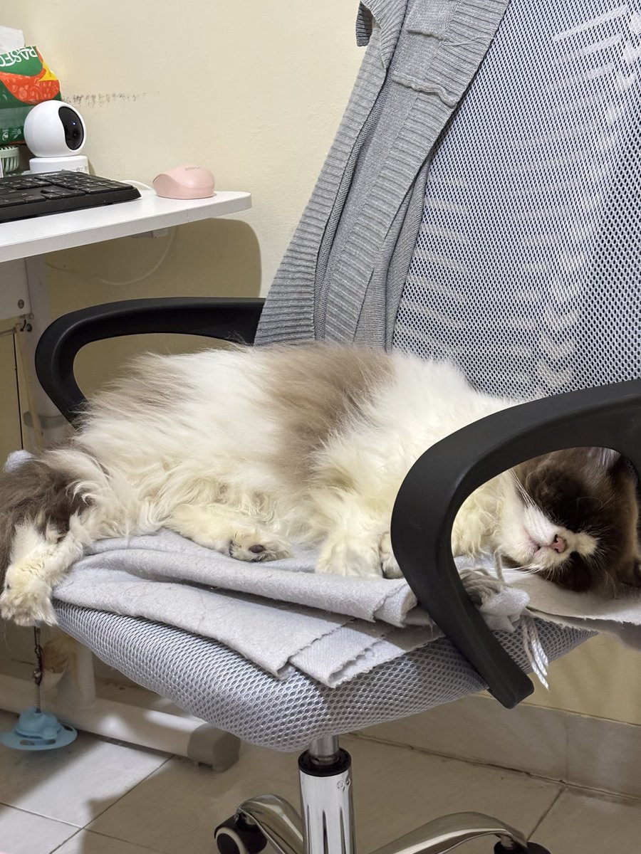 Met bobo kakak, sweet dreams❤️