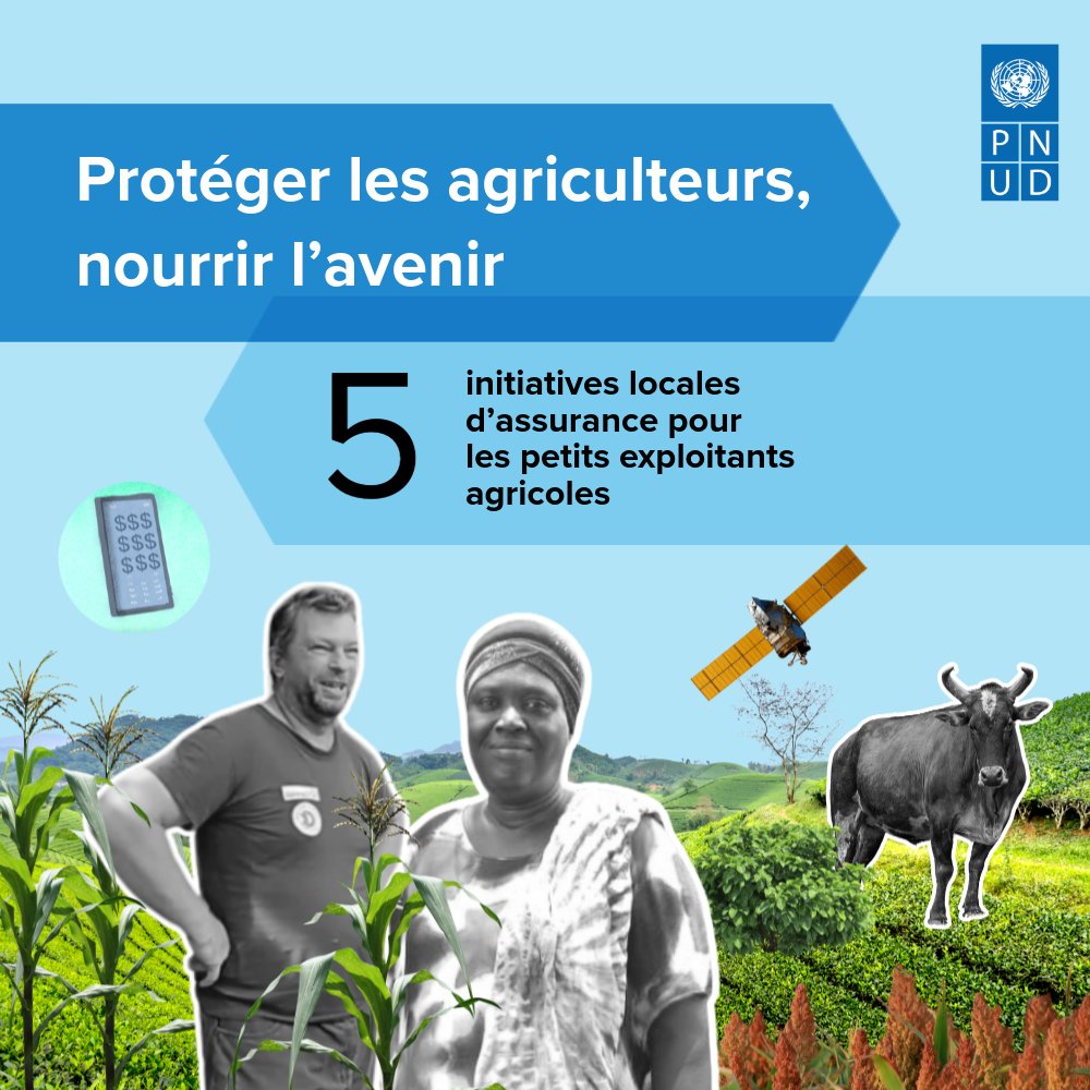Alors que la #COP30 débute, découvrez le parcours inspirant de Philomène, agricultrice à Loul Séssène, au Sénégal. 🌾 Grâce à l’assurance agricole, elle a pu faire face aux aléas climatiques, protéger ses récoltes et assurer l’avenir de sa famille. 🌍✨

go.undp.org/iMm