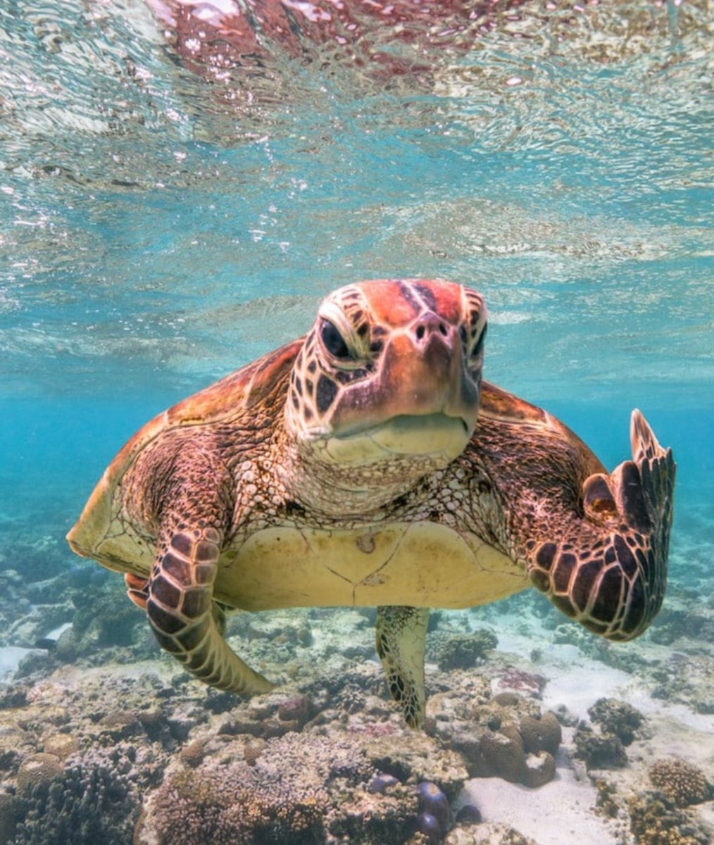 TheDevilsInterval (@coryryno) on Twitter photo 