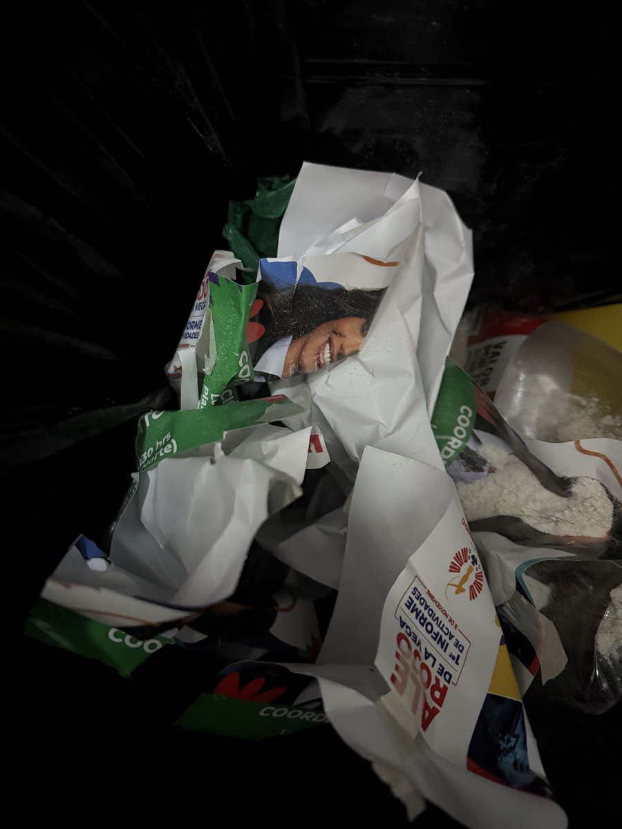 Walta's tweet image. Hoy presenta su circo @AlessandraRdlv en la Plaza Río de Janeiro. Estaría bueno llevarle toda la basura que nos colgó y pegó en nuestras calles durante las últimas semanas (lo cuál es ilegal, por cierto).  Ojo aquí @PAOTmx