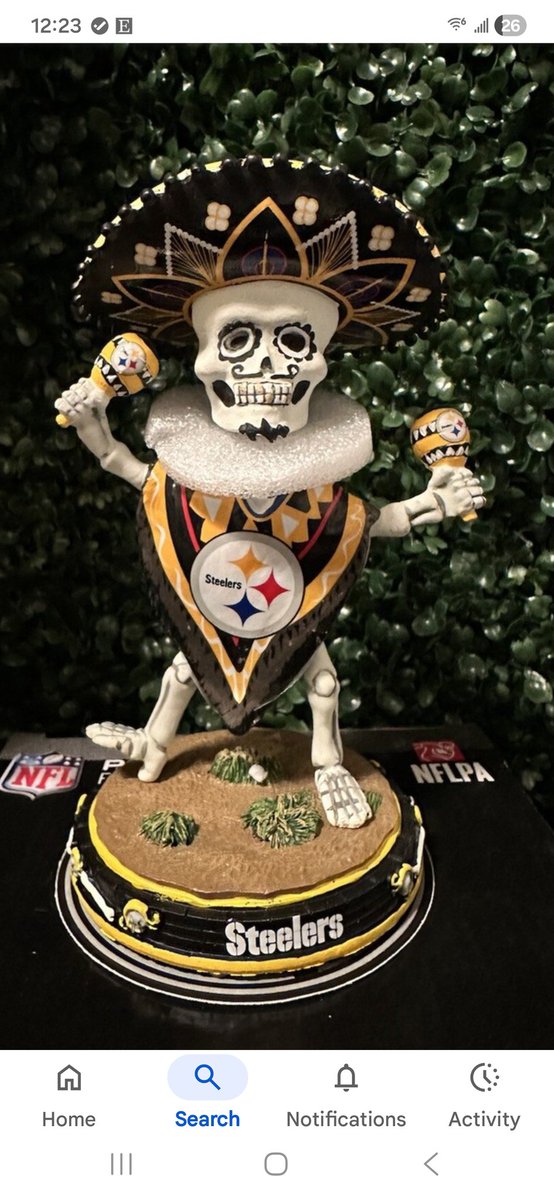 backninebob's tweet photo. @AnnieAgar sad but true #SteelersNation https://t.co/uT5Z4e8H0N