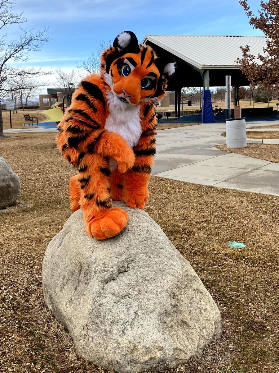 tiger_strom's tweet photo. #furry #furrycolorado #jacktiger #foryoupage #fyp https://t.co/jSnDwRPuMd