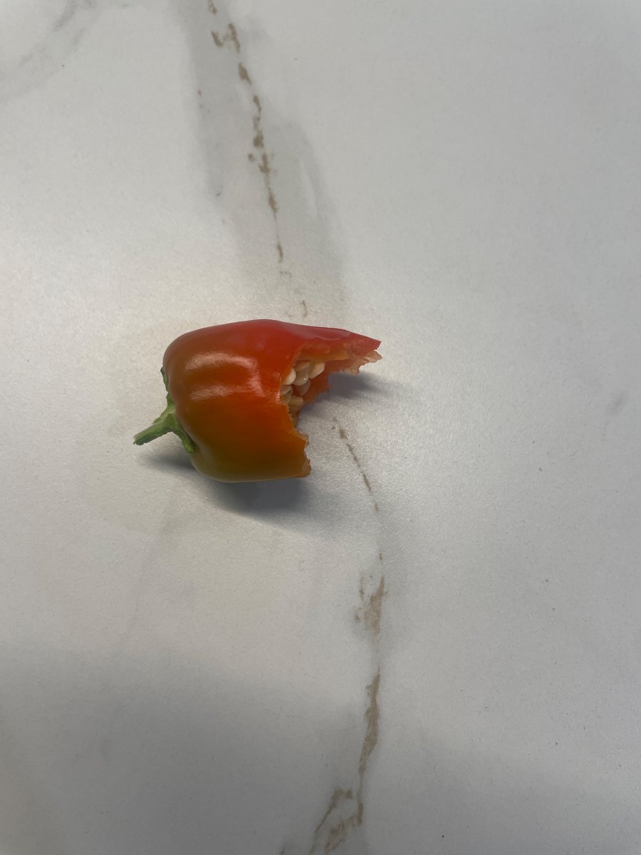 Eamon Cassells tweet media