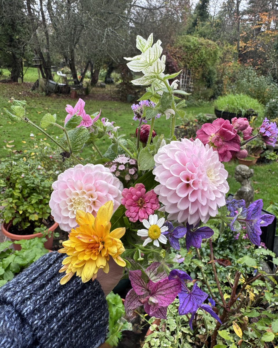 A small bouquet is about all
I could manage today. Most of the flowers are now looking pretty sorry for themselves! 
I hope you’ve had a good start to the week. 
Have a lovely evening. 🍁