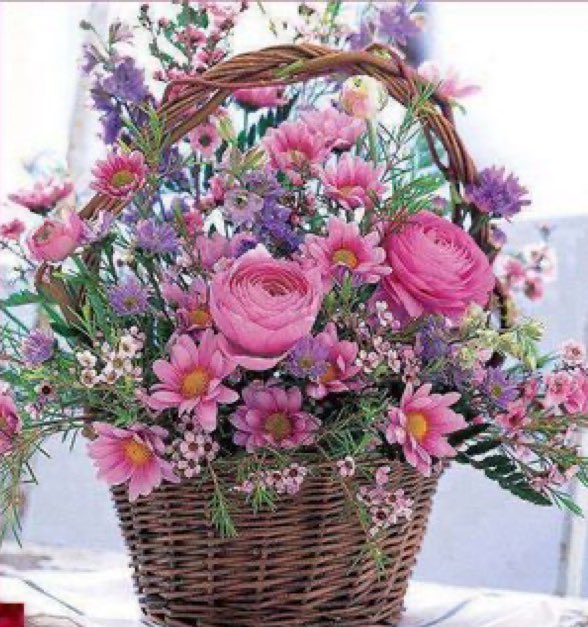 Madiha915's tweet image. Your heart is free 
just have the courage 
to follow it
#goodnight 
#enjoythemoment 
#PeaceAndLove 
#sweetdreams 
🌸🩷🌸🩷🌸🩷