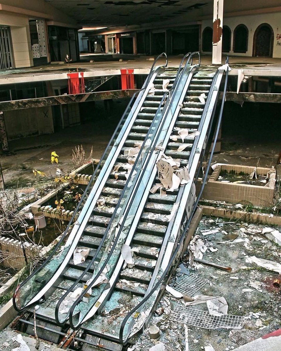 HØGHHEIM STØRE anlık! 🛒 #singlesday #hoghheim