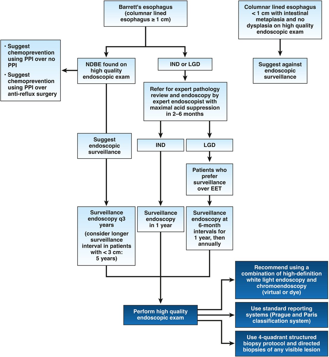 🆕 AGA Clinical Practice Guideline on Surveillance of Barrett’s Esophagus was published in the November issue of #Gastroenterology. Click the link below to read it!
🔗 ow.ly/bmCl50XpsmY