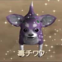 りこりす (@rikorisu_mo) on Twitter photo 