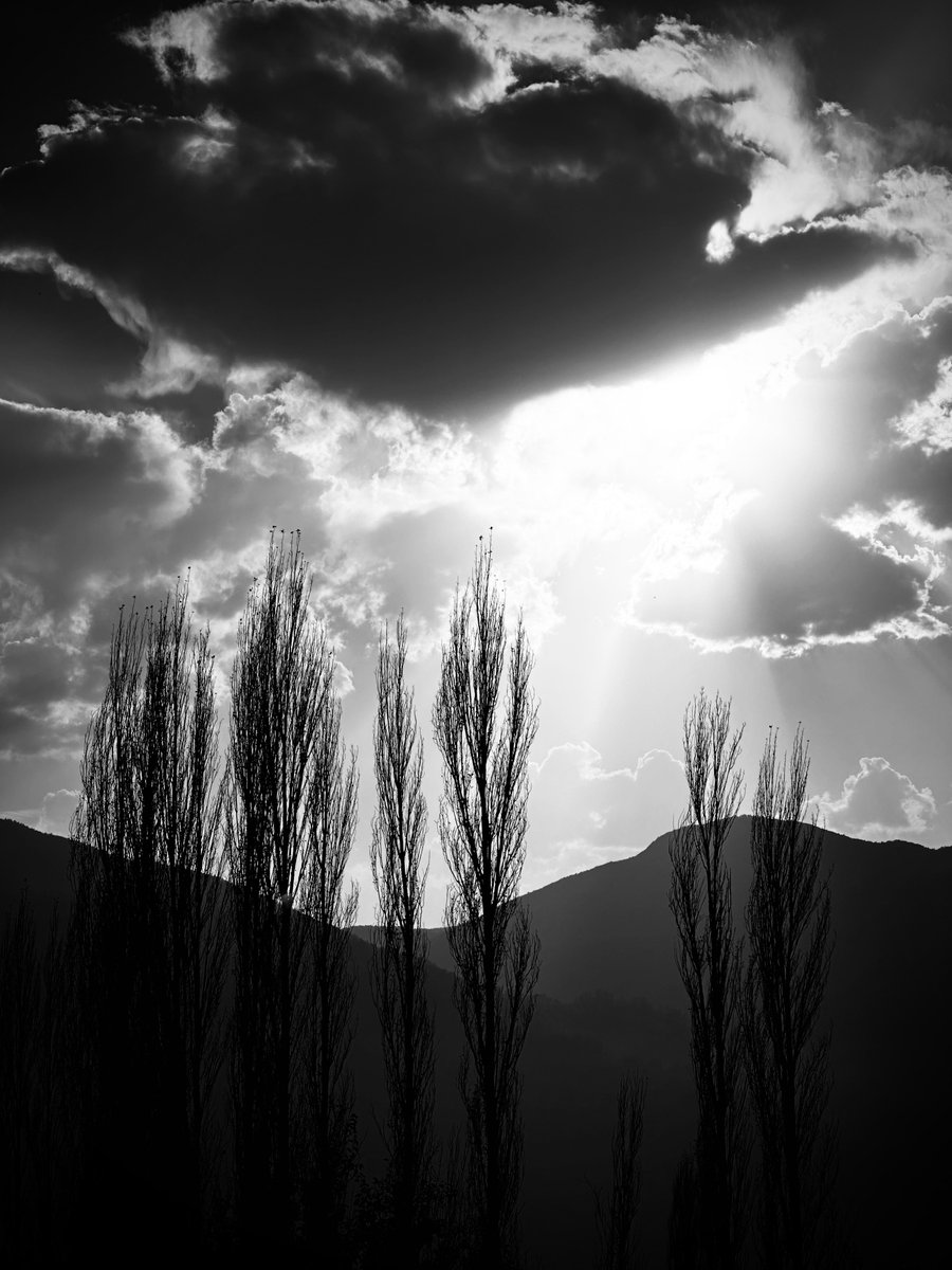 Ben bu sanattan ve zariflikten gözümü alamıyorum..