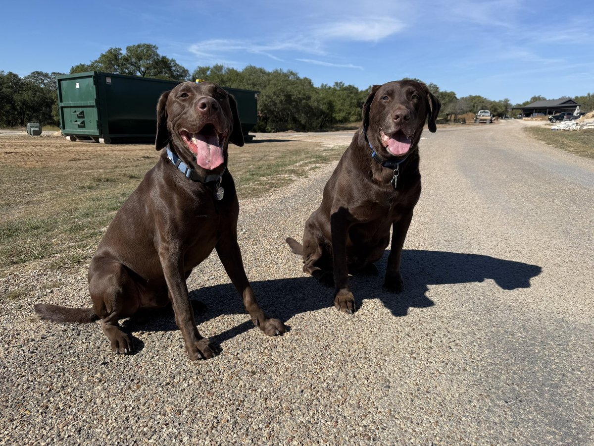 Nothing beats a day off out at the ranch.