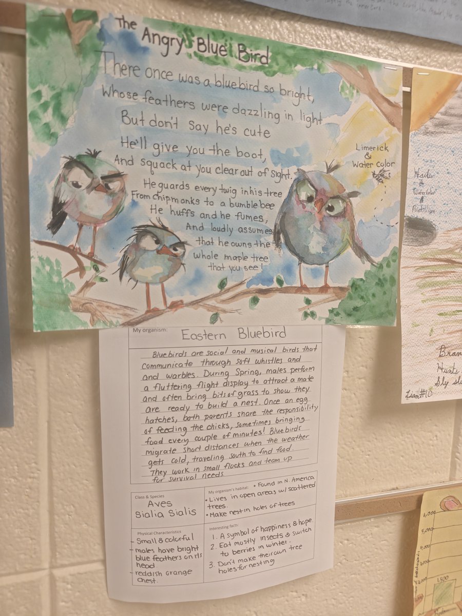 Andrew Geocaris tweet media