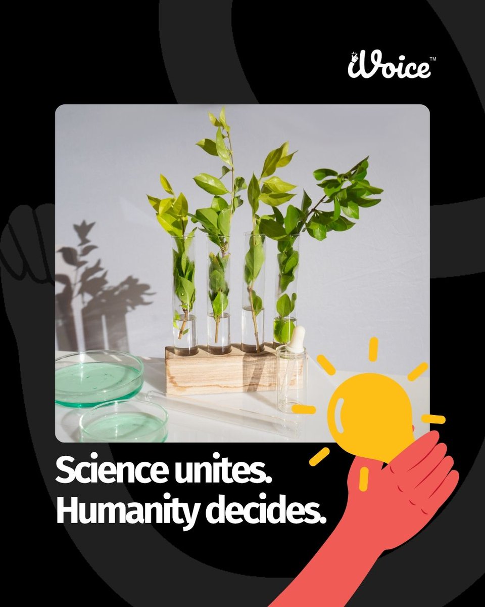 ivoice_today's tweet photo. 🔬 Peace isn’t just an agreement , it’s innovation, powered by purpose.
This #WorldScienceDay, let’s use science not to divide but to unite , to heal, rebuild, and empower. 🌍

🗳️ Vote for campaigns that spark change at 
https://t.co/15f0F4YCDd 
Because every vote, every voice, and every idea matters. 💬✨

#ScienceForPeace #InnovationForGood #VoteForChange #iVoice #EveryVoiceMatters