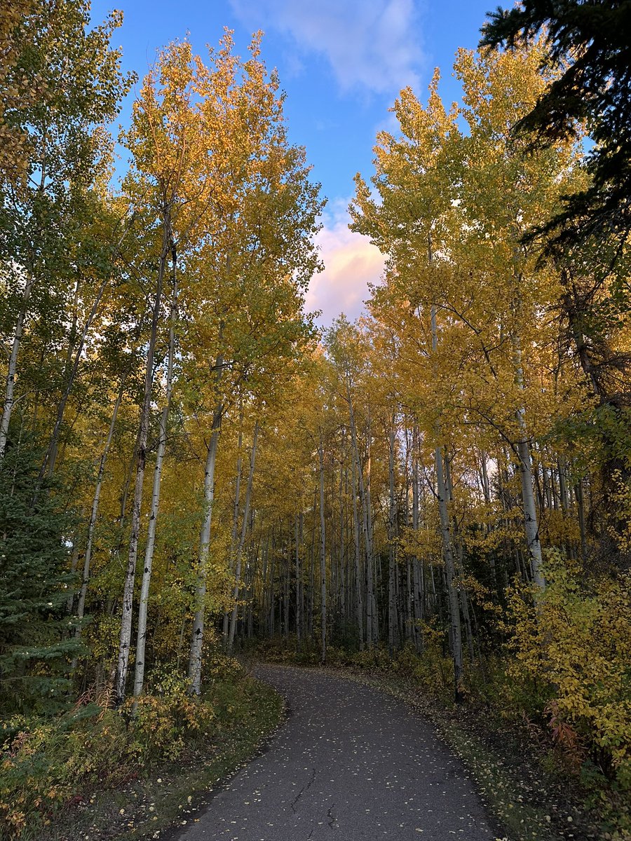 evening walk in my parents backyard