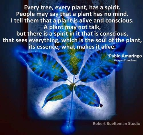 RobertsChessie's tweet image. Everything speaks to those who have ears, hearts and minds to hear.
#csrobertsauthor #awarnessperpetrator #mindstream #evolutionofself #forgivness #kindness