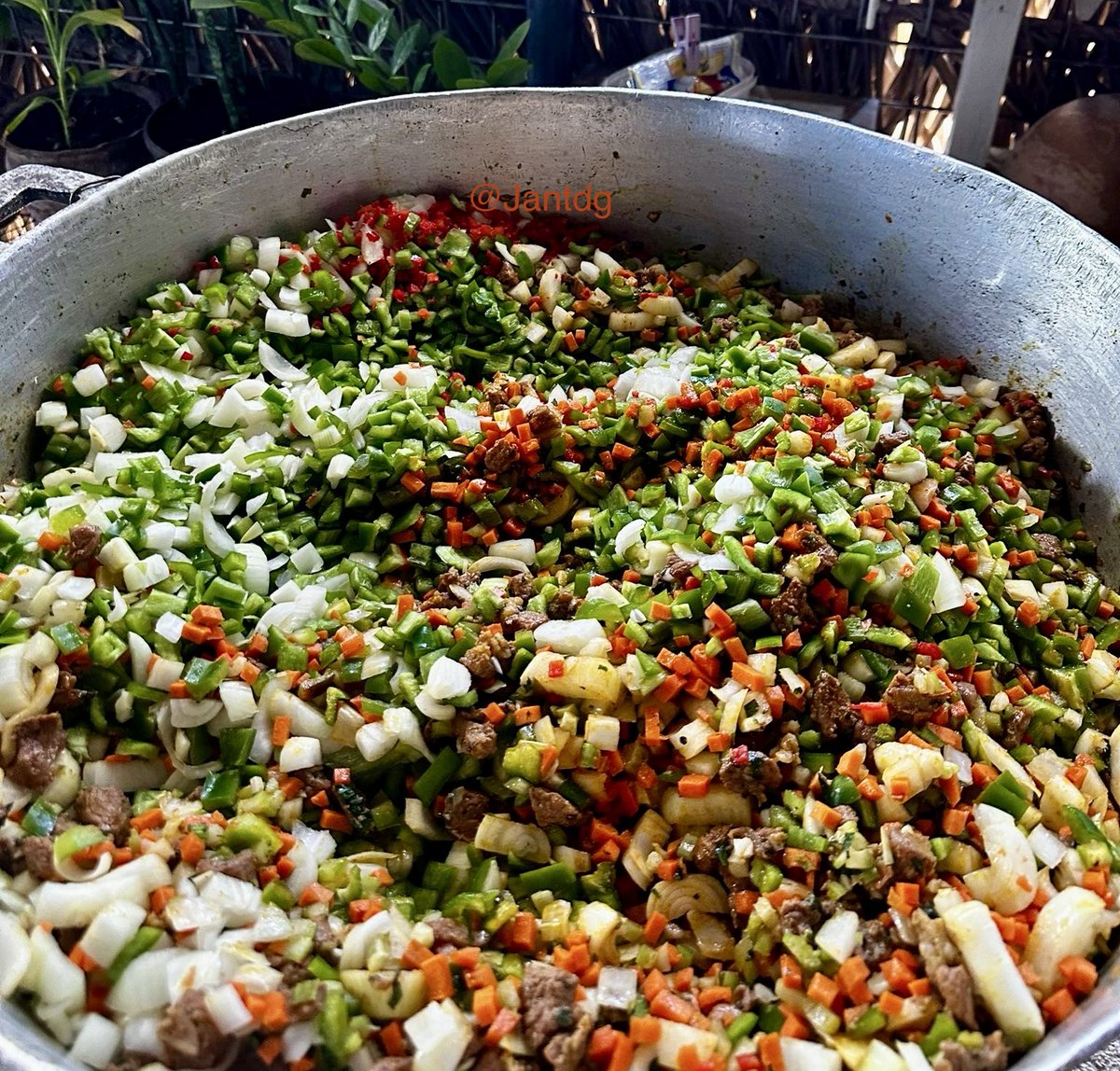 Jantdg's tweet image. Feliz primer aniversario del incidente del arroz con puerco que hizo mi mami to all those who celebrate.🇵🇦✨