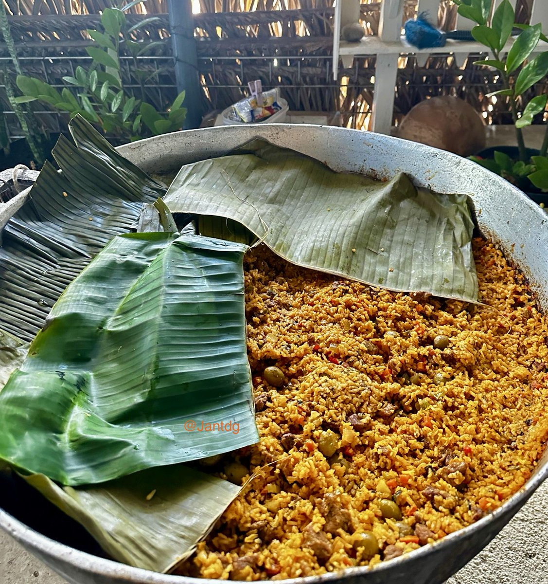 Jantdg's tweet image. Feliz primer aniversario del incidente del arroz con puerco que hizo mi mami to all those who celebrate.🇵🇦✨