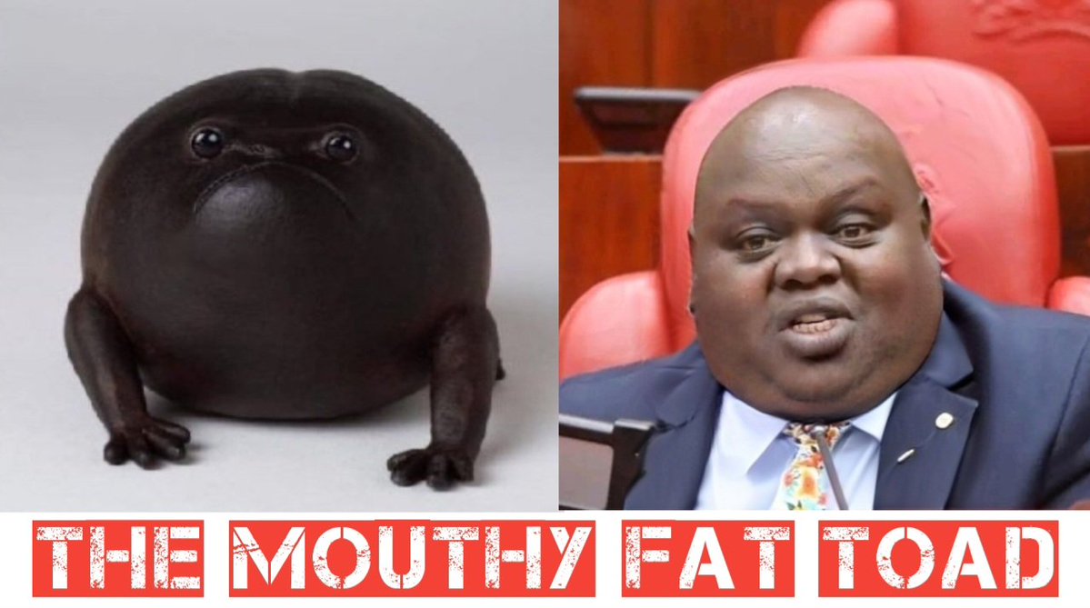 PropesaTV's tweet image. The Mouthy Fat Toad