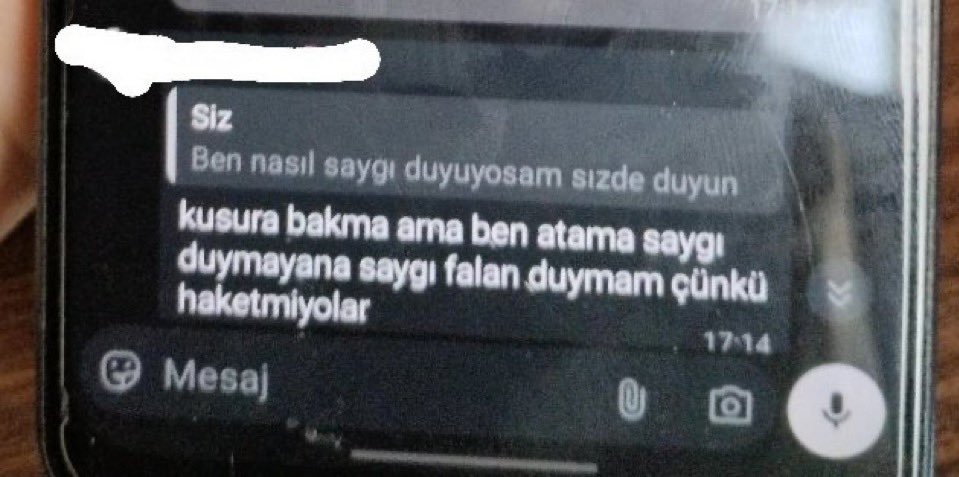 Atatürk’e laf eden piclerin yanında biz