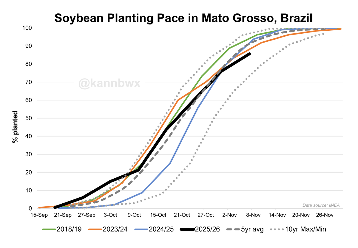 Karen Braun tweet media