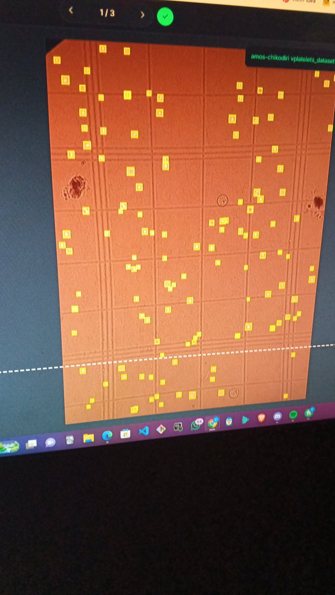 mosco361's tweet image. @roboflow label assist is  very great it, reduces annotation time 
#computervision #microscope