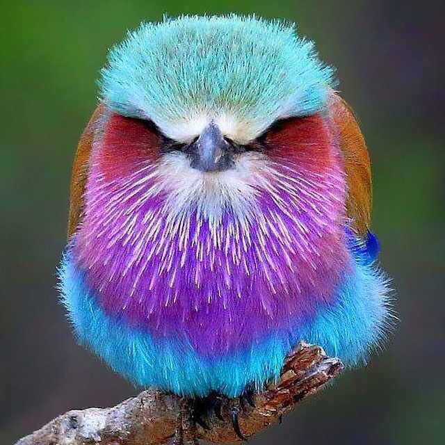 codesaidev's tweet image. El 1, 2, 3, 9 y 10 diciembre de 10.00 a 14.00 hora peninsular nueva edición en abierto en C# del curso Code Smells &amp;amp; Refactoring 🚀codesai.com/cursos/refacto…

50% de descuento para particulares de colectivos poco representados

No te lo pierdas! Escribe a contact@codesai.com 💌