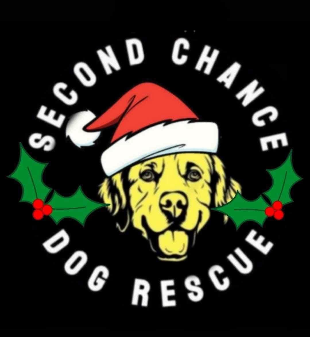 SCD_Rescue's tweet image. Good evening🙋🏼‍♀️

I’m asking again for your help this evening🙏🏻

Every year on Christmas eve we draw the huge Christmas Fundraiser Draw.  It’s one of our biggest fundraisers of the year and raises such crucial funds in a difficult month financially for the rescue. 

Every year we…