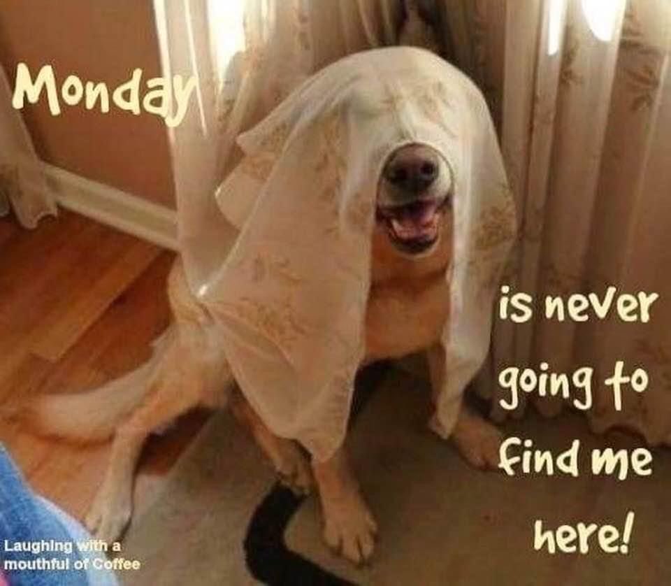 __ruby_______'s tweet image. Wordle 1,605 5/6

⬛⬛🟨⬛⬛
🟨⬛⬛⬛⬛
🟩🟩⬛⬛⬛
🟩🟩⬛⬛🟩
🟩🟩🟩🟩🟩 
🫶🫶🫶🫶🫶