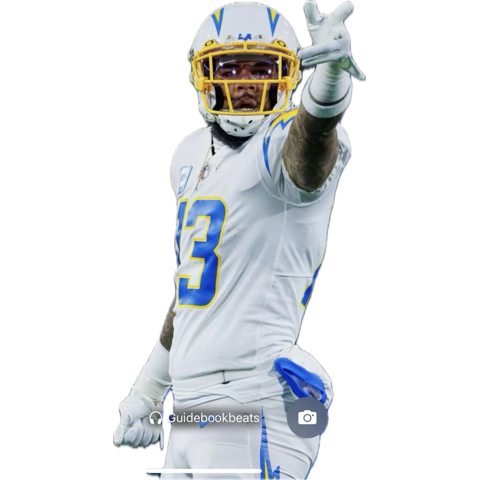 #DHBCSEA tweet media