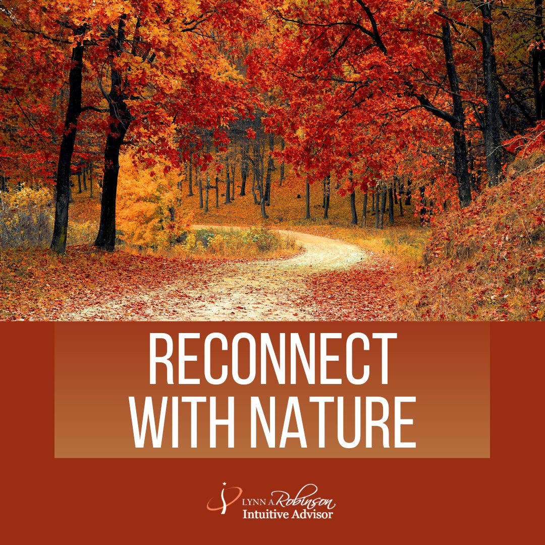 LynnIntuition's tweet image. Nature has a healing energy. Spend time outdoors to recharge and find balance.

#lynnrobinson #intuition #intuitivereadings #intuitiveadvisor