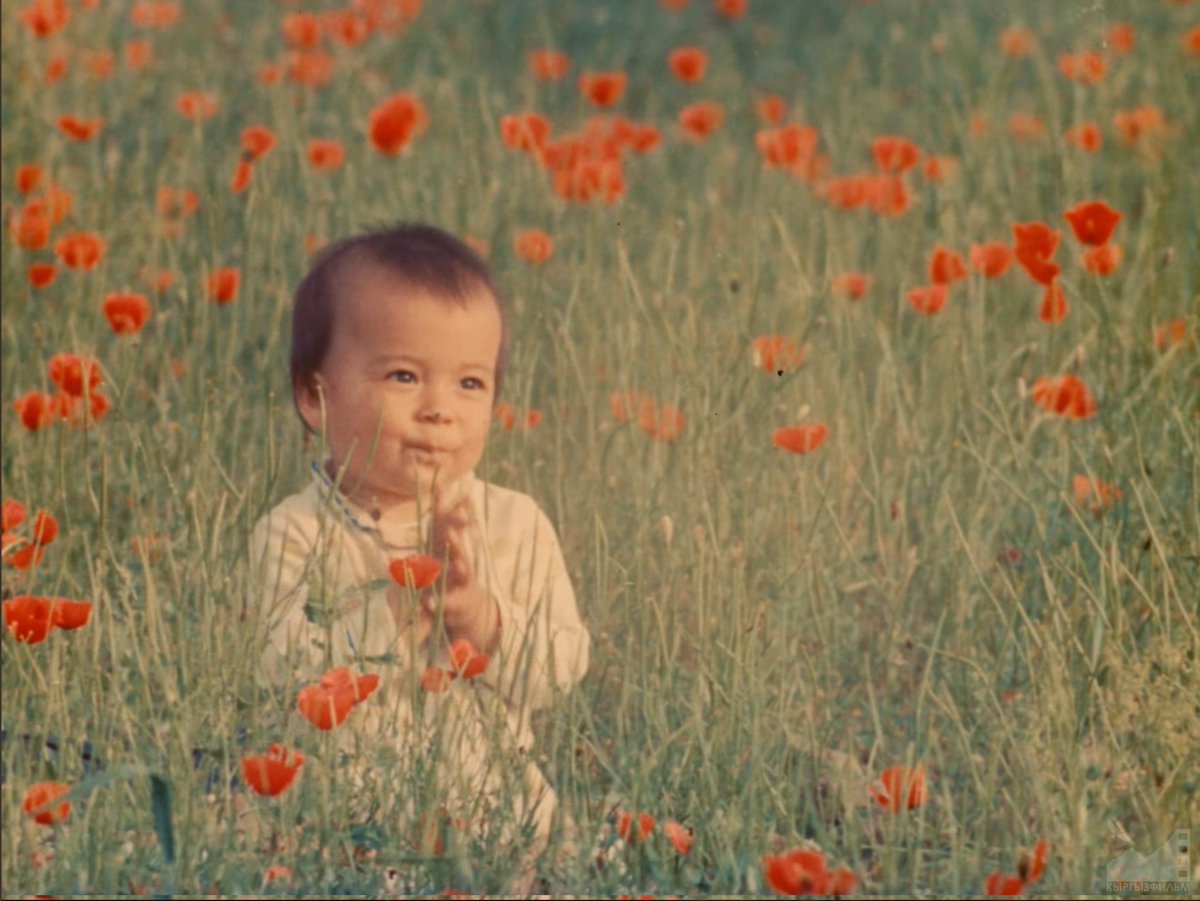 ...а это бабаська