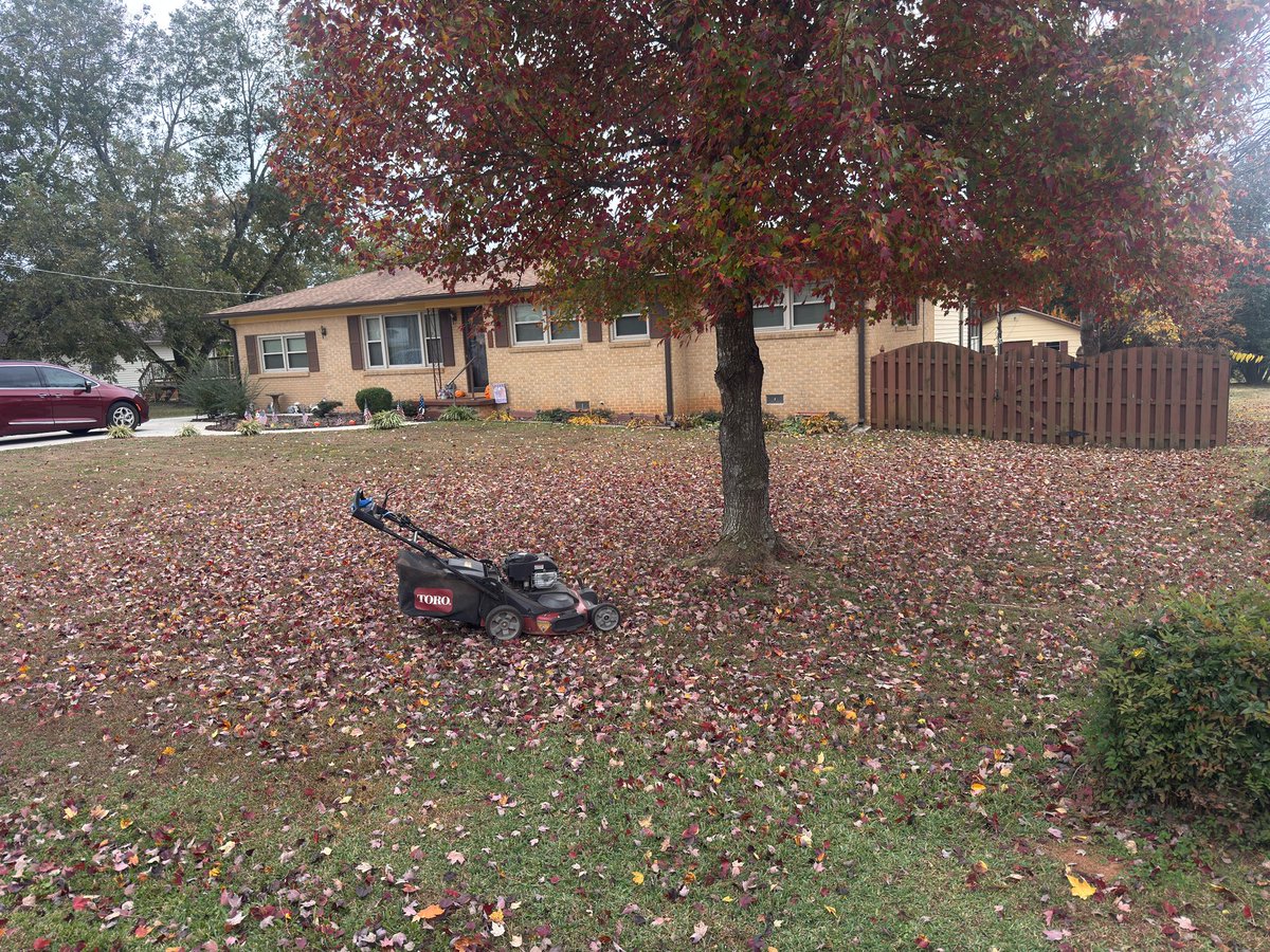 iamrodneysmith's tweet image. This morning, I had the honor of mowing Mr. Smith’s lawn as he rested inside. He is a Air Force veteran who is 90 years young. Thank you so much Mr. Smith for your service and sacrifice and also happy birthday to the Marines. Making a difference, one Lawn at a time.