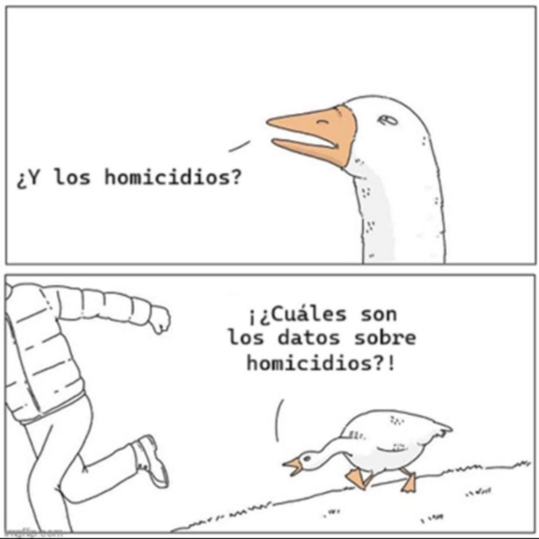 Leduin Cuenca Macas (pepeleduin@mstdn.io) (@pepeleduin) on Twitter photo 