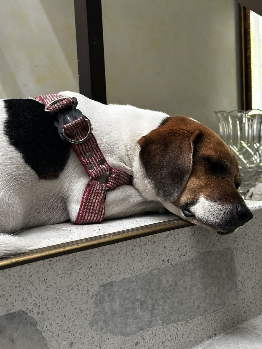 <a href="/katygomita/">K</a> Día 2 subiendo fotos de Dinah triste hasta que Katy la bañe