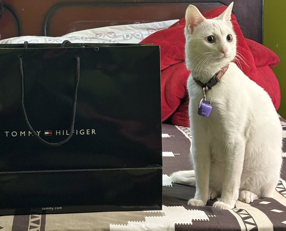 Full influencer potential