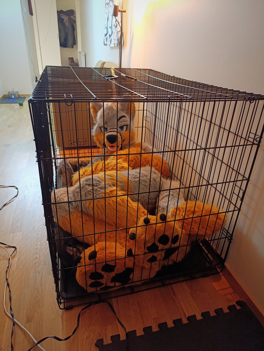 H-hey, you didn't have to lock it! 🔒🦊