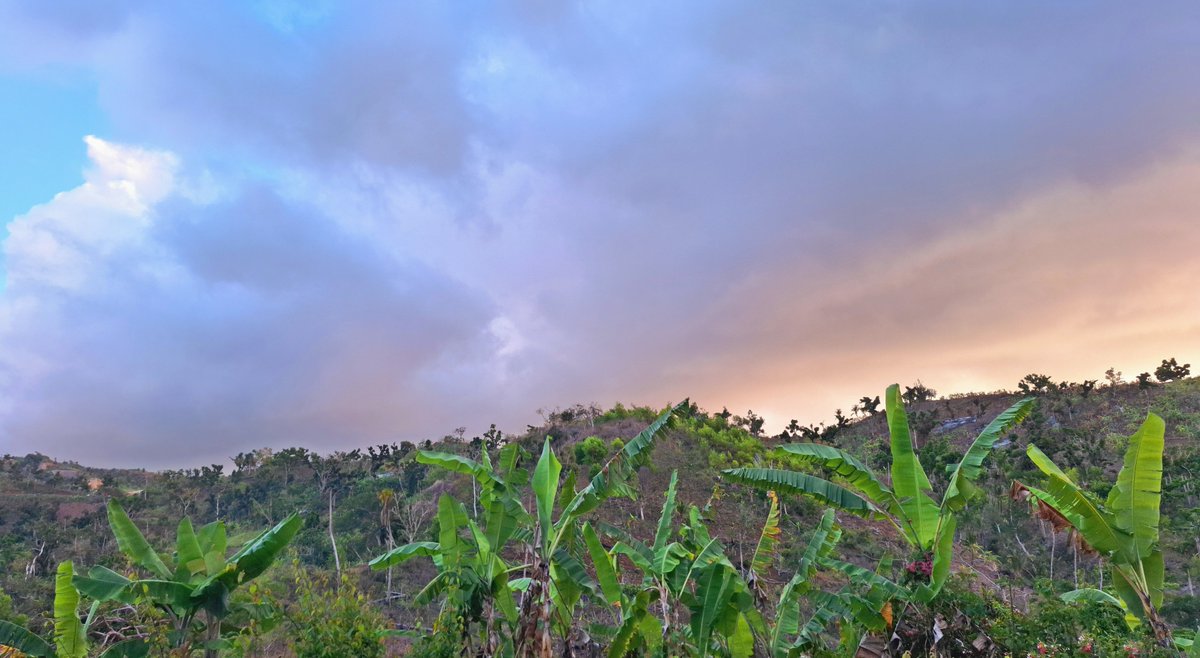 Les couleurs du matin, quand il faut affronter les embouteillages, coincé entre les bananiers et les jeunes armés de machettes...