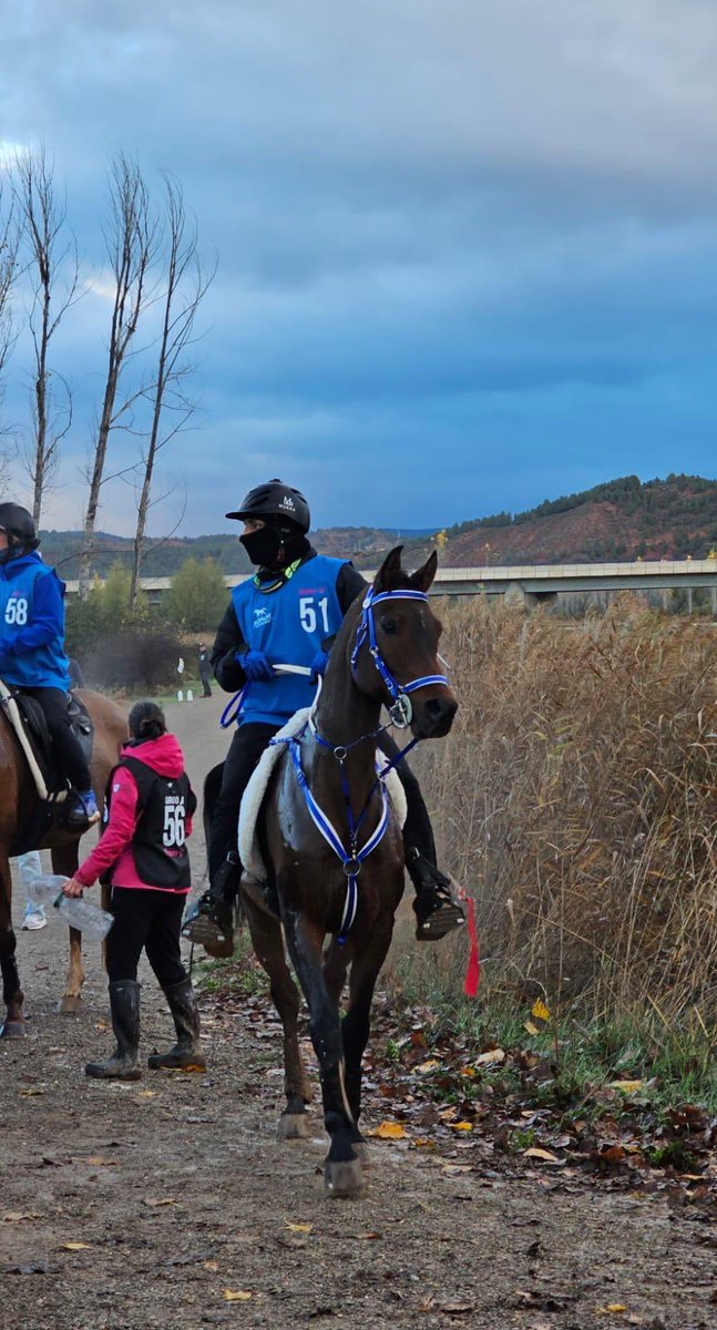 sultan alsabri tweet media