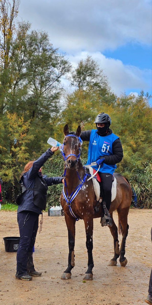 sultan alsabri tweet media