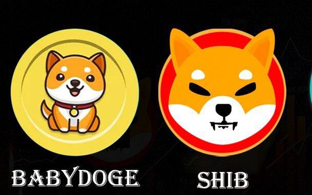 Babydogehub's tweet photo. Which coin will rise more in 2024? 🤔

💗 = #SHIB

🔁 =  #BABYDOGE 

🗨️ = #BABYDOGE https://t.co/Yd6zU5c1HX