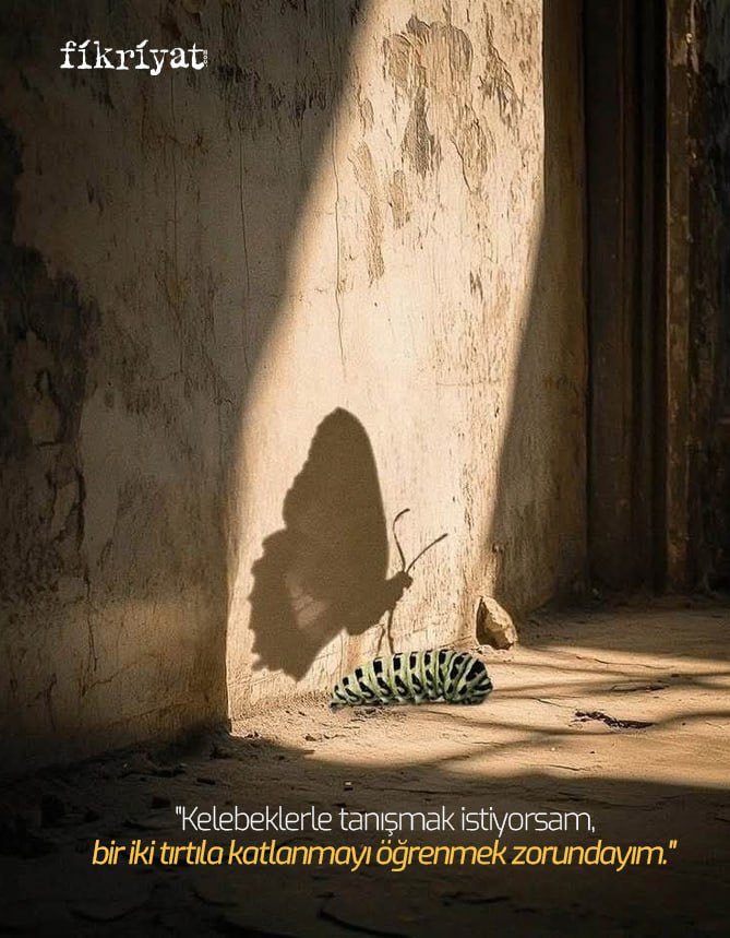 fikriyatcom's tweet image. &quot;Kelebeklerle tanışmak istiyorsam, bir iki tırtıla katlanmayı öğrenmek zorundayım.&quot;  

Küçük Prens