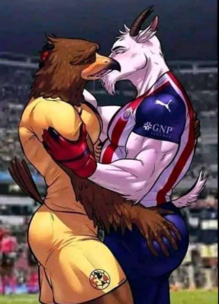 KITTYFAN tweet media