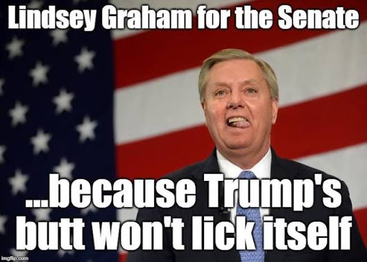 <a href="/LindseyGrahamSC/">Lindsey Graham</a> <a href="/realDonaldTrump/">Donald J. Trump</a>